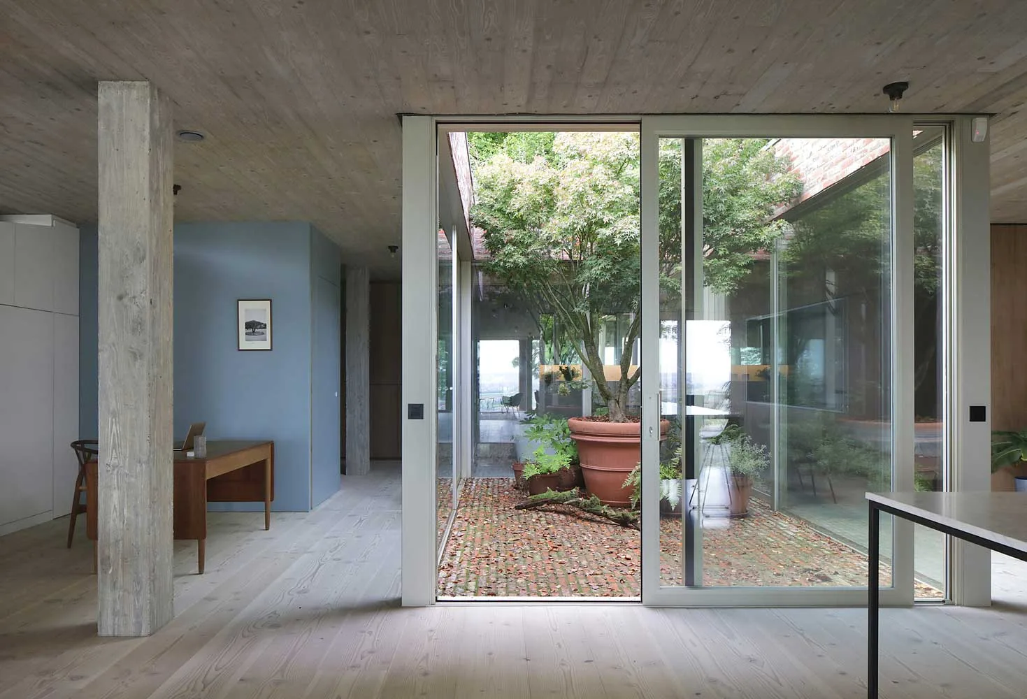 Steep Slope House With Bookshelflined Interior Modern House Designs