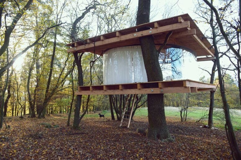 tree house with glass walls