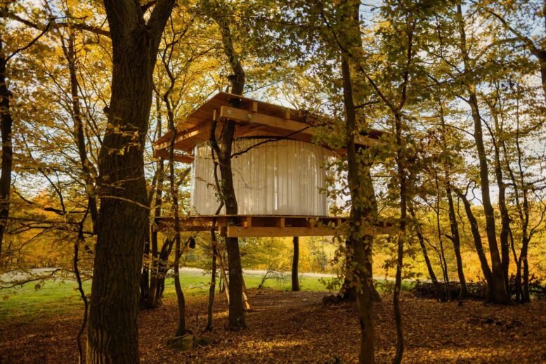 tree house with round walls