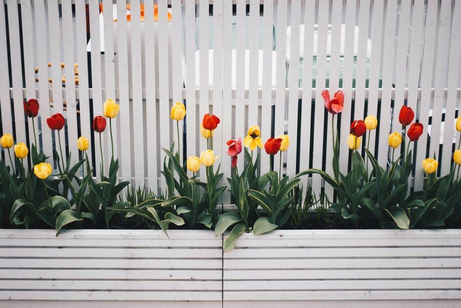 The Charm of Simple Wood Fence Designs: Ideas for Every Home