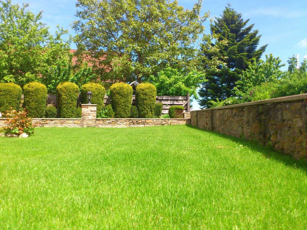 The Impact of Color in Landscape Works: Choosing the Right Palette