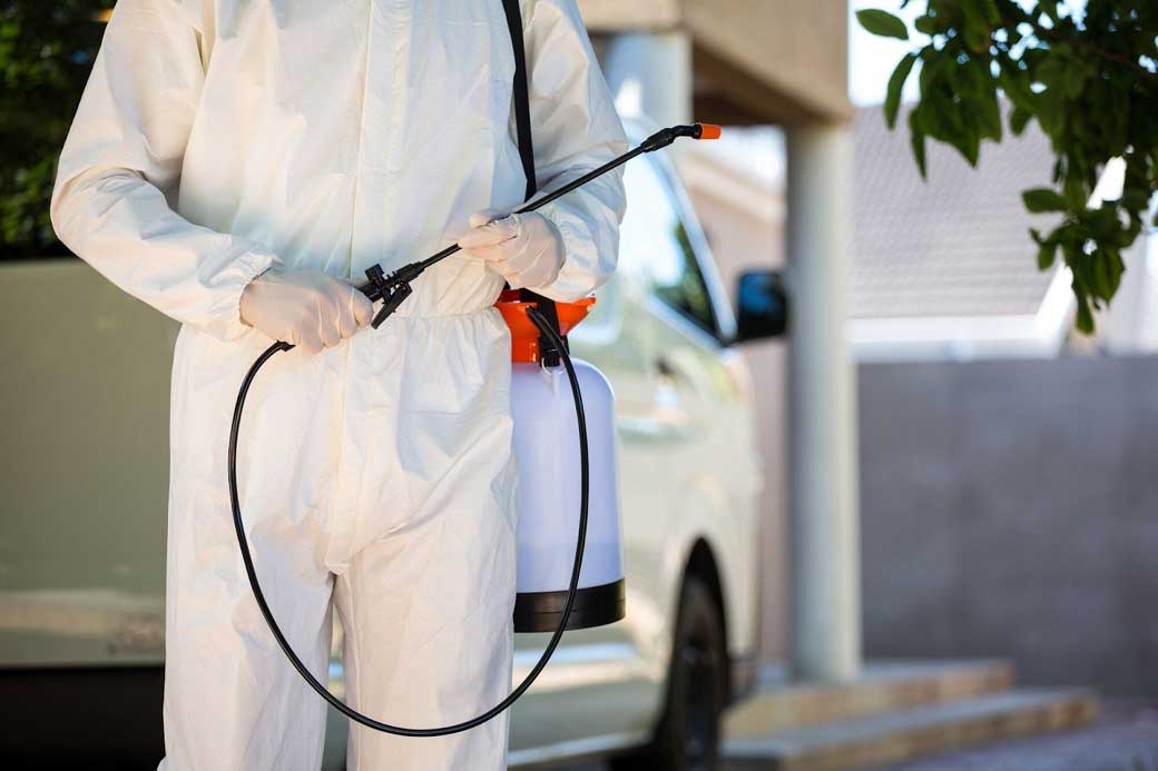Preventing Termite Infestations with Affordable Termite and Pest Control