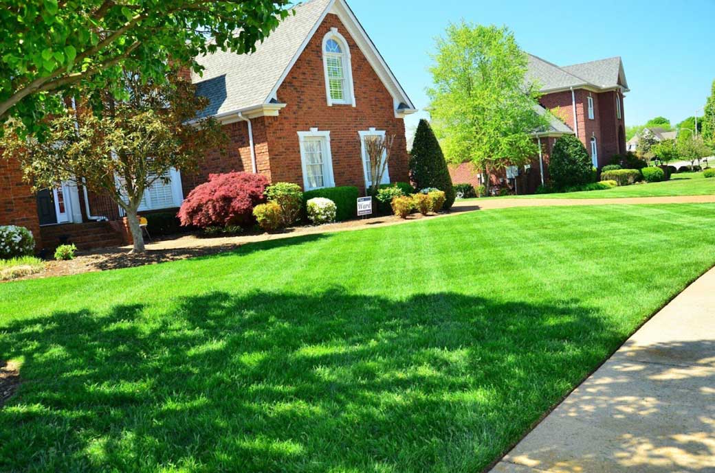 The Secret to Controlling Lawn Worm Populations: Tips and Strategies