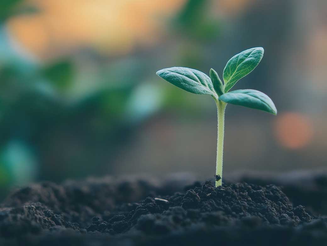 Fresh Starts and Second Chances: Rebuilding Your Life Post-Addiction