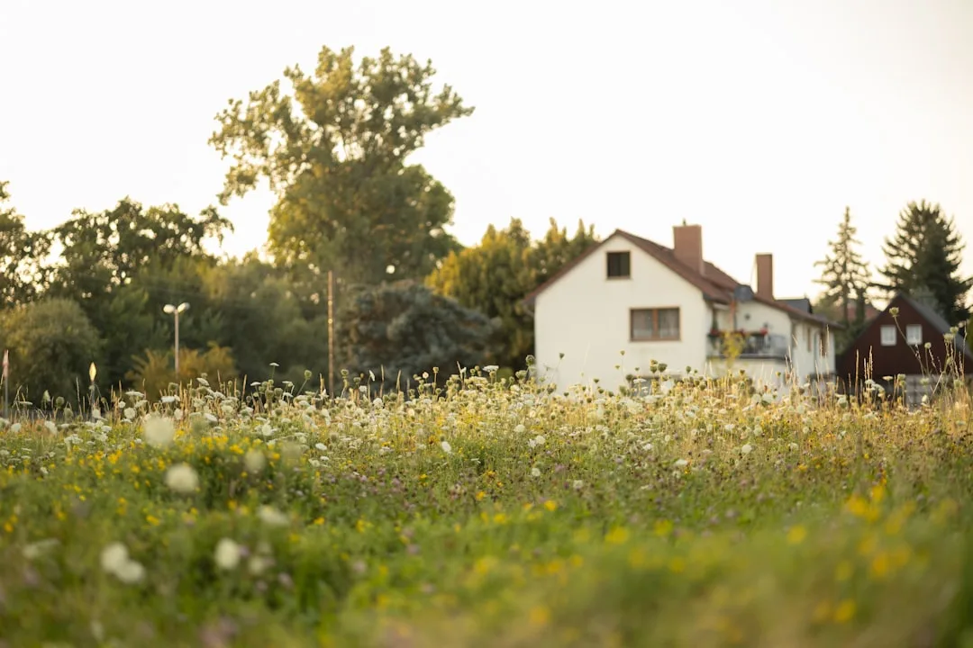 Low maintenance pollinator garden with stone pathway and native plants