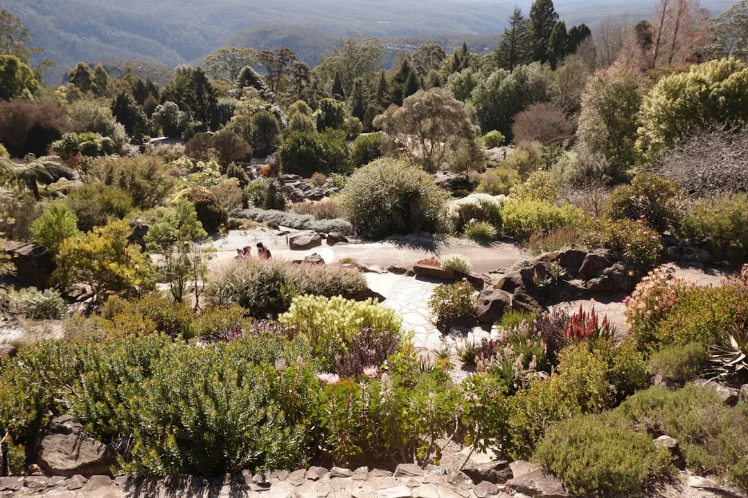 Fire-safe drought-resistant garden landscape reflecting outdoor garden trends 2026