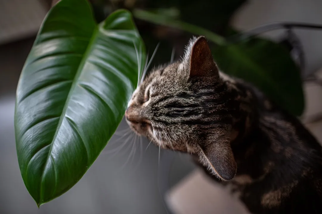 The Biophilic Pet Zone: Why Designers Are Merging Animal Spaces With Living Greenery