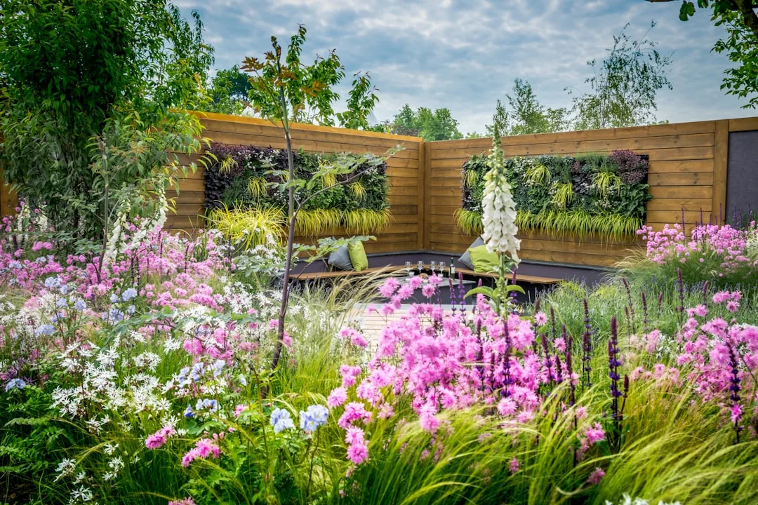 Keystone native plants in a biodiversity-focused garden design