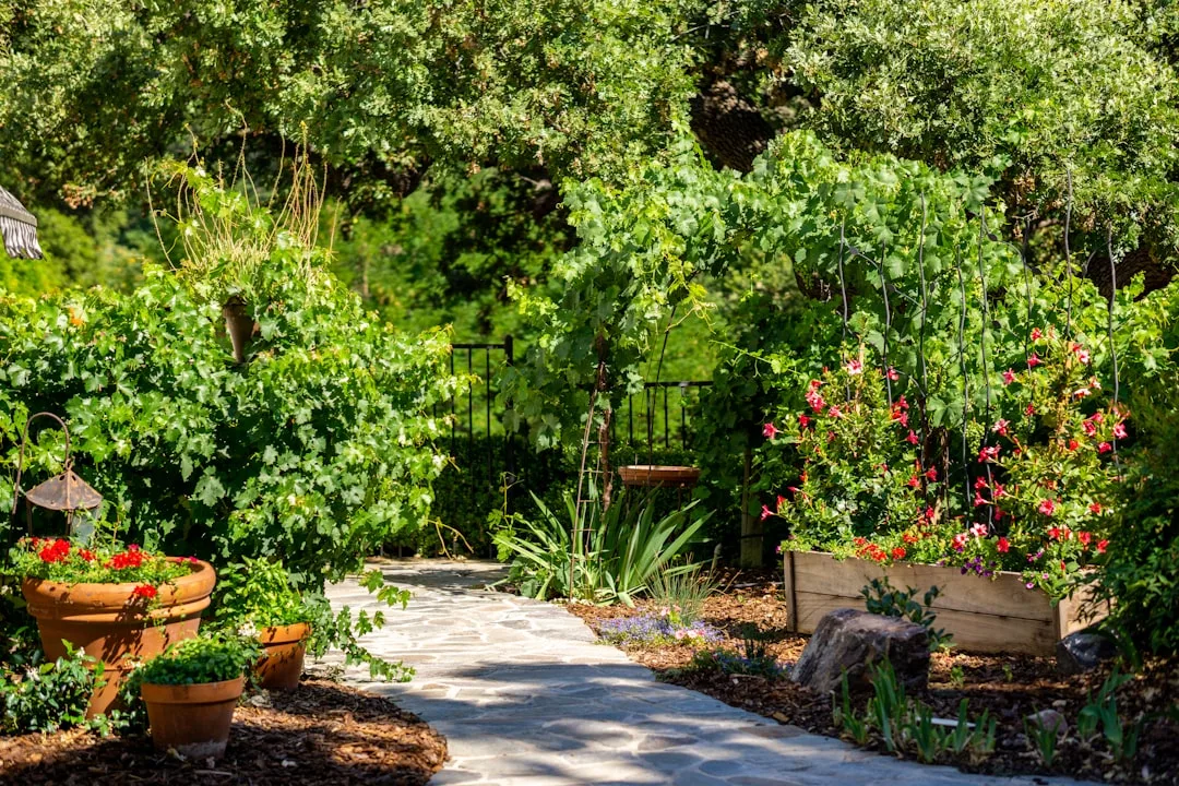 Xeriscaping with native perennials and pale stone hardscaping in residential garden