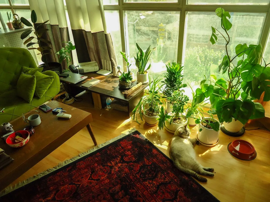 Pet Wellness Interiors Are Replacing Decorative Pet Spaces With Therapeutic Ones