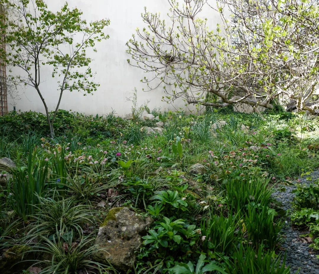 Soft naturalistic border with spilling plants across stone terrace
