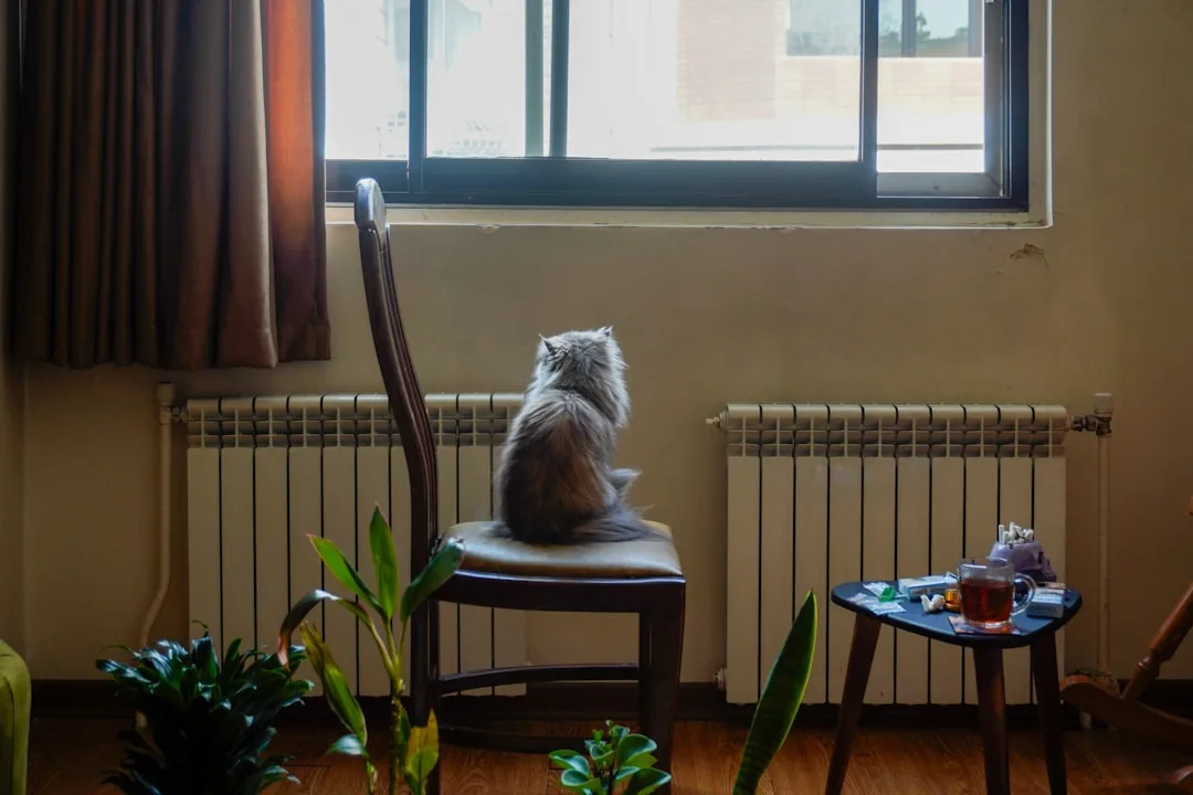Calming neutral pet bed with organic cotton materials in modern living room