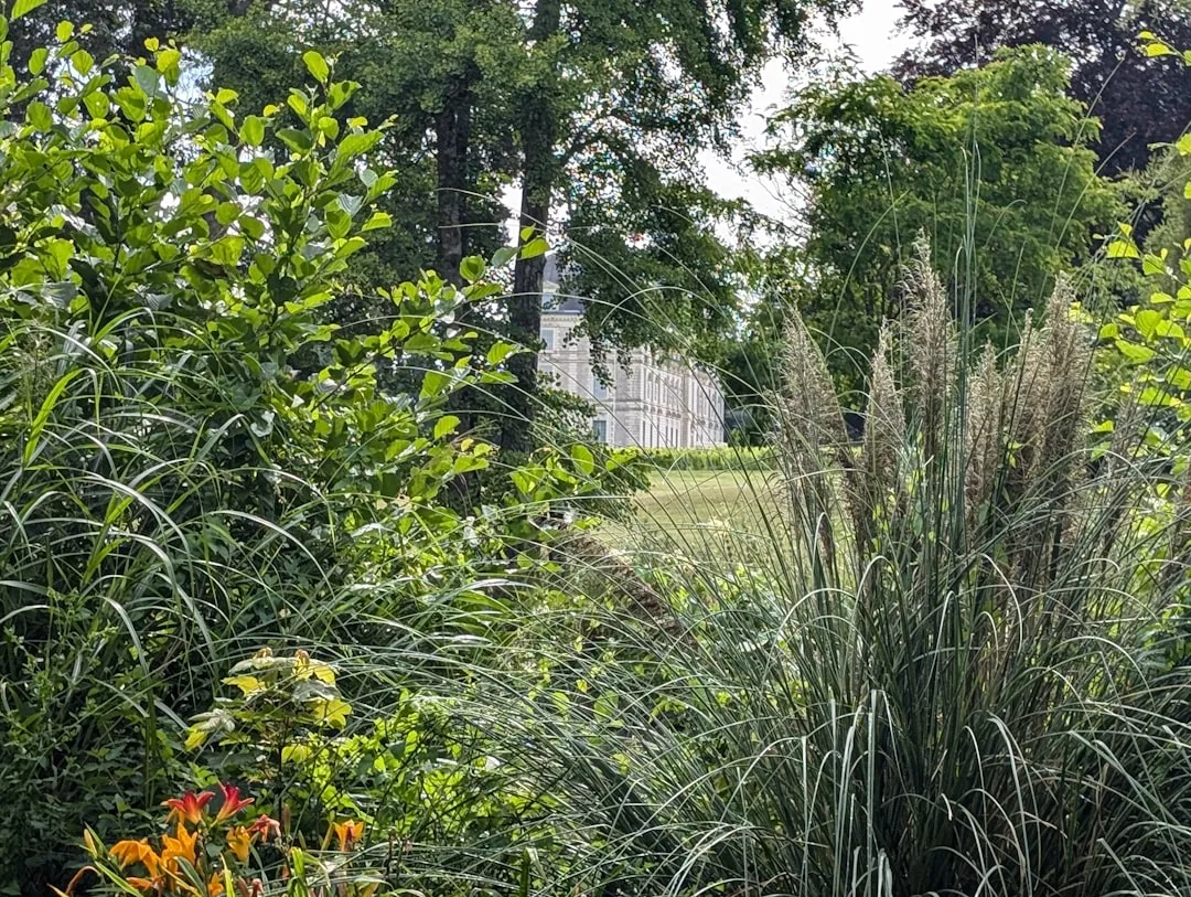 Native Plant Borders Are Replacing Manicured Hedges as Landscape Standards