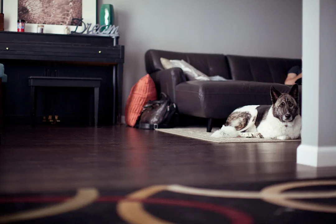 Pet Odor Control Materials Transform Interior Spaces With Enzymatic Technology