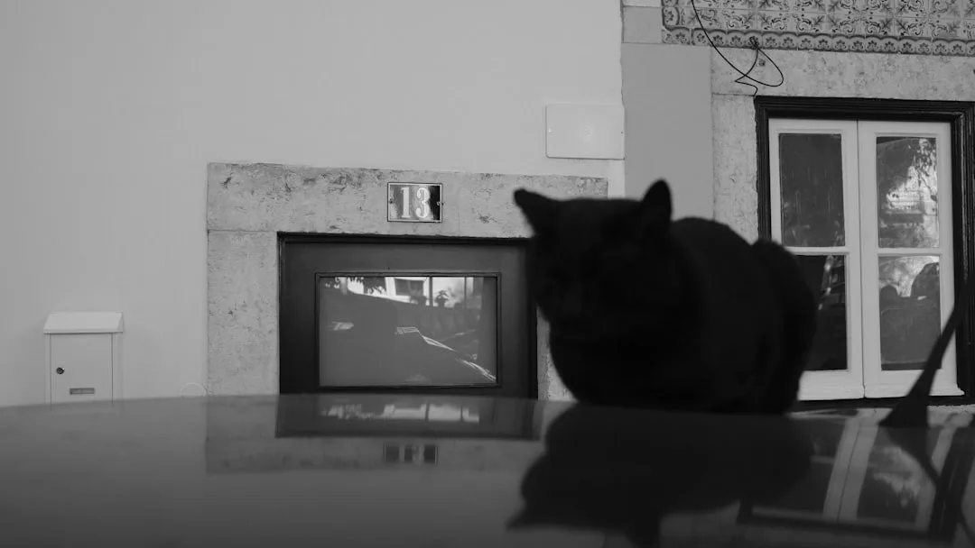 Furbo Dog Camera 360 with night vision thermal imaging capabilities