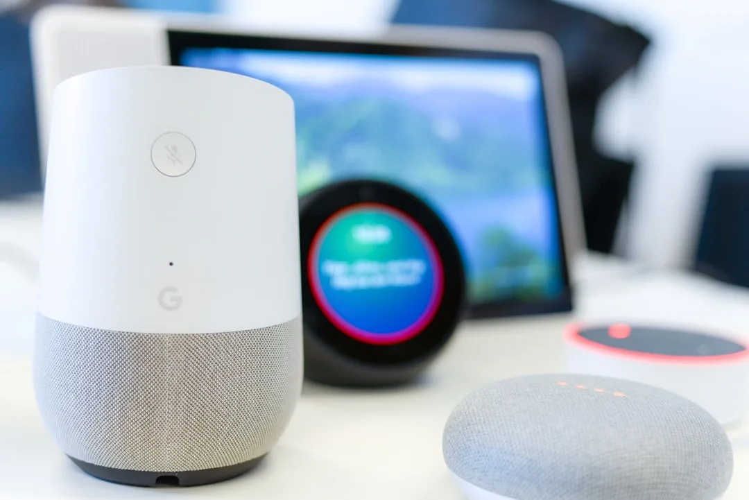 white and gray Google Home