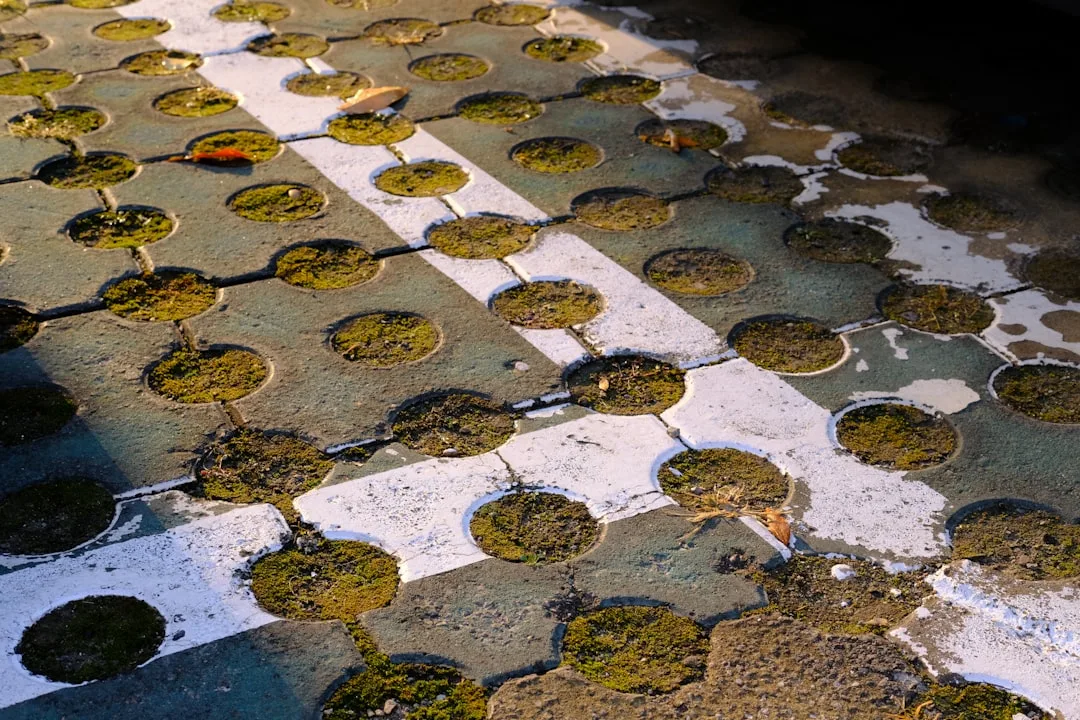 Permeable concrete pavers with visible drainage channels