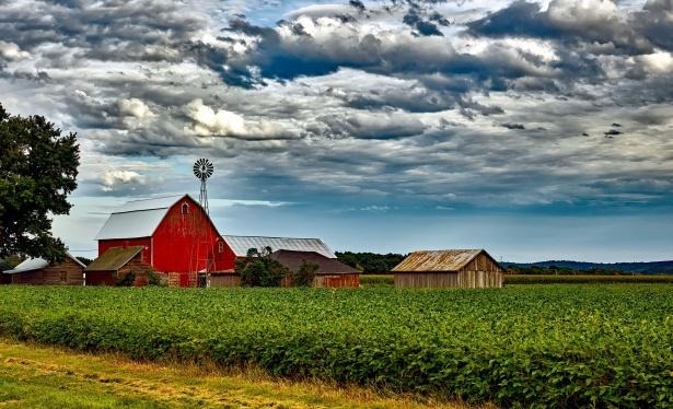 Cooler Accessories for Outdoor Growing, Farm Work, and Garden-Ready Field Days