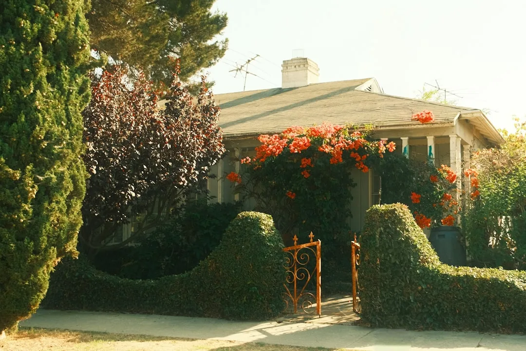 Mature specimen tree as front yard focal point with layered understory planting detail 2