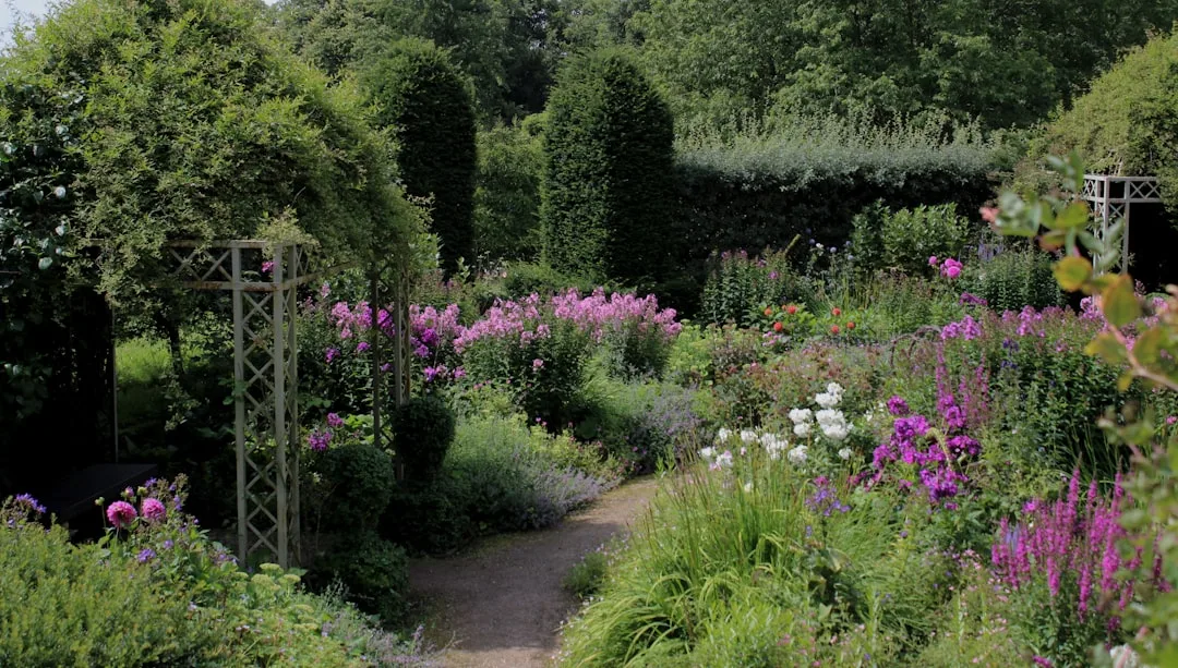 Mixed perennial border with sedum, coneflower, and ornamental grasses in residential landscape