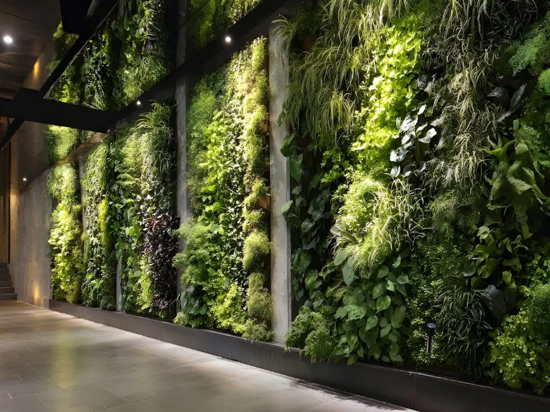 Close-up of drip irrigation system feeding vertical garden wall plants
