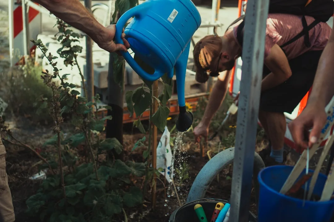 Modular cistern storage tank connected to garden irrigation lines