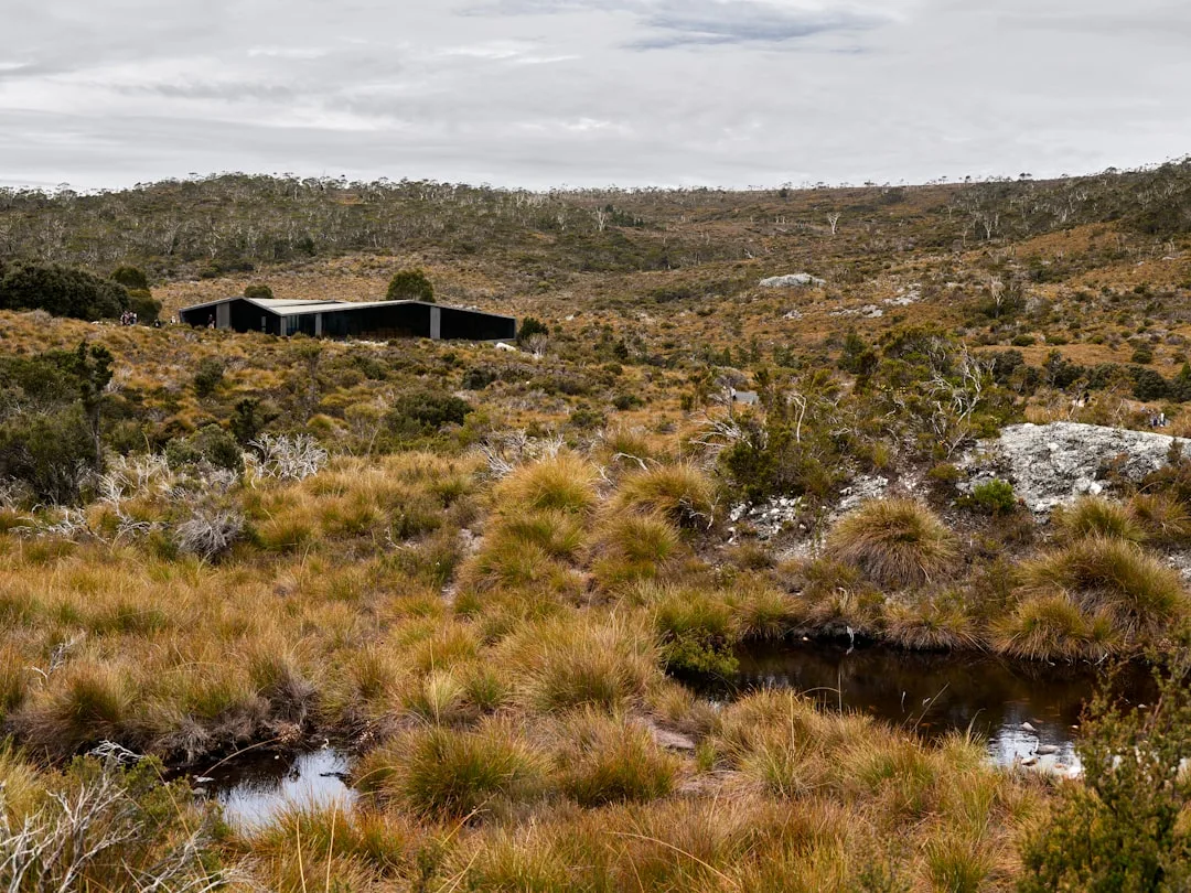 Carbon-neutral boutique hotel featuring reclaimed materials and zero-waste dining facilities