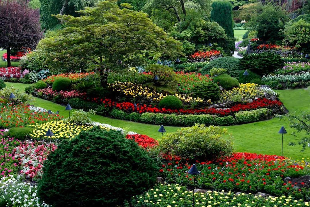 Low-maintenance perennial garden with blooming ornamental grasses and drought-tolerant plants detail 3