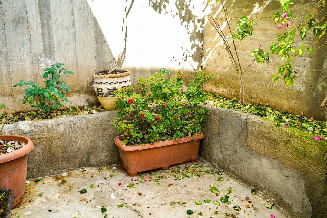 Dense creeping thyme and sedums covering patio edges near furniture