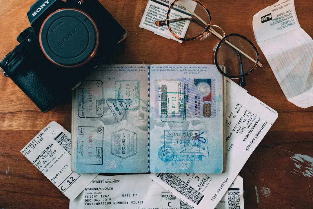 Digital visa pass stored on mobile phone travel app