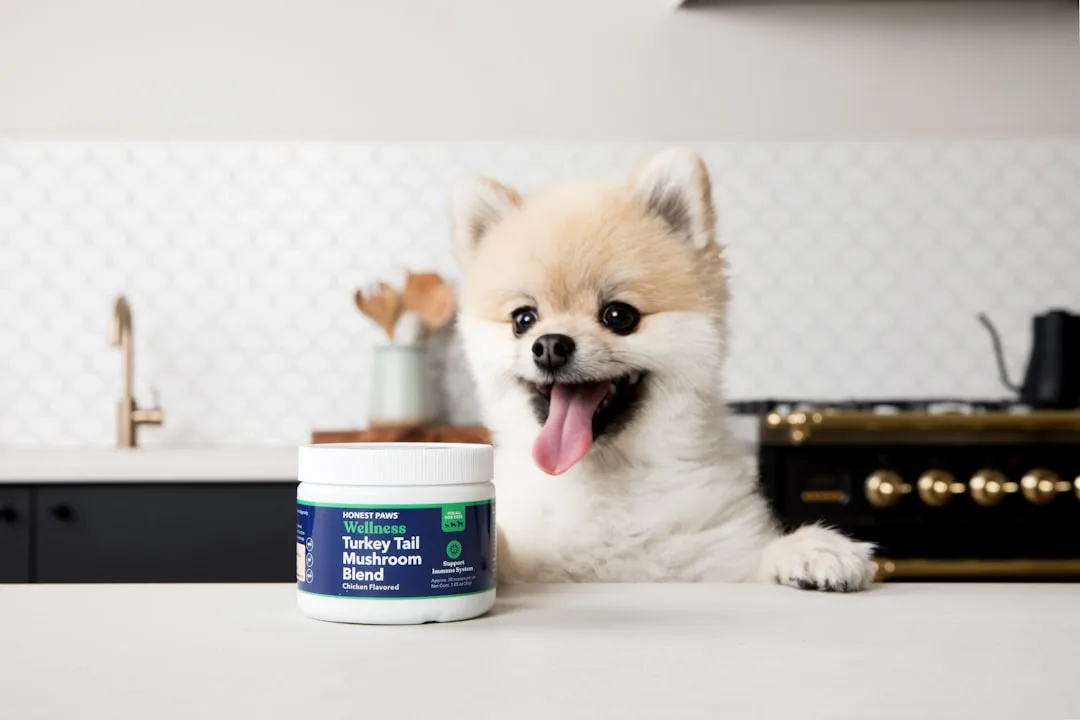 Golden retriever receiving pet allergy immune support supplement with veterinary approval detail 2