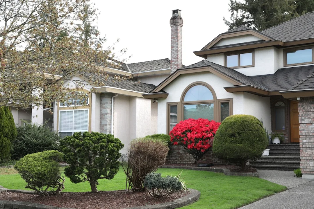 Mature specimen tree as front yard focal point with layered understory planting detail 1