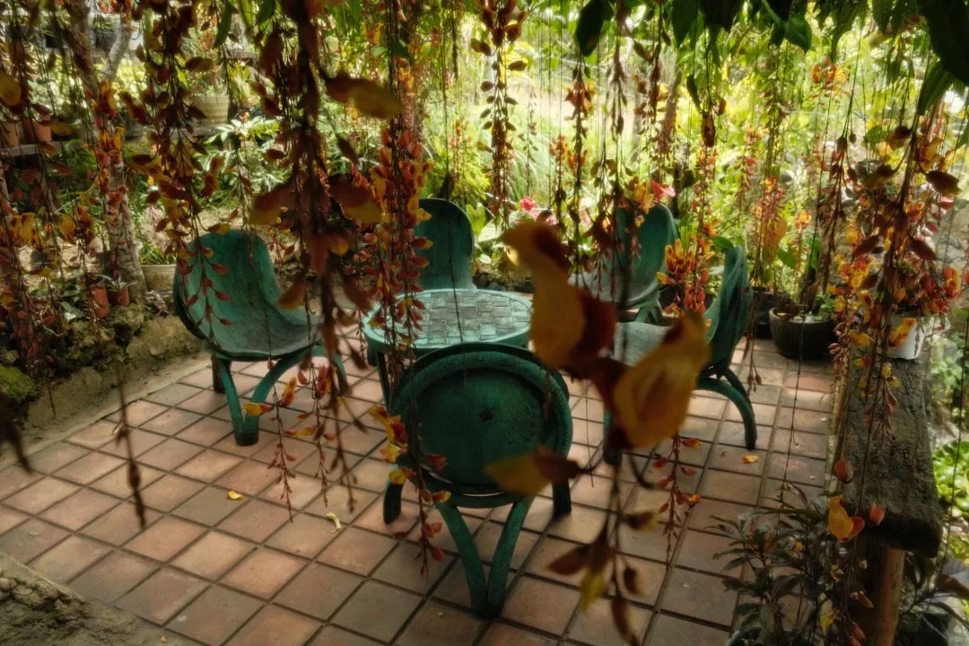 Lush outdoor ground cover plants creating low-maintenance patio design zones detail 4