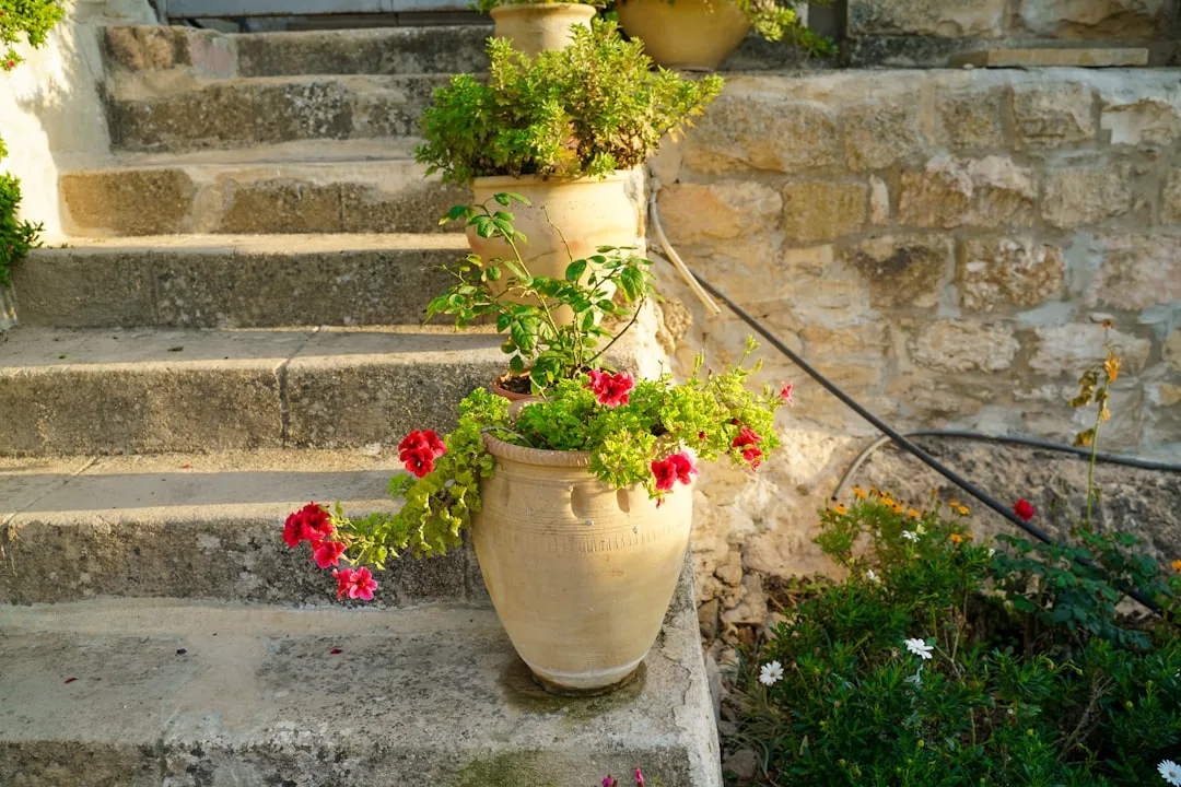 Mediterranean container garden grouping drought-tolerant plants stone patio design