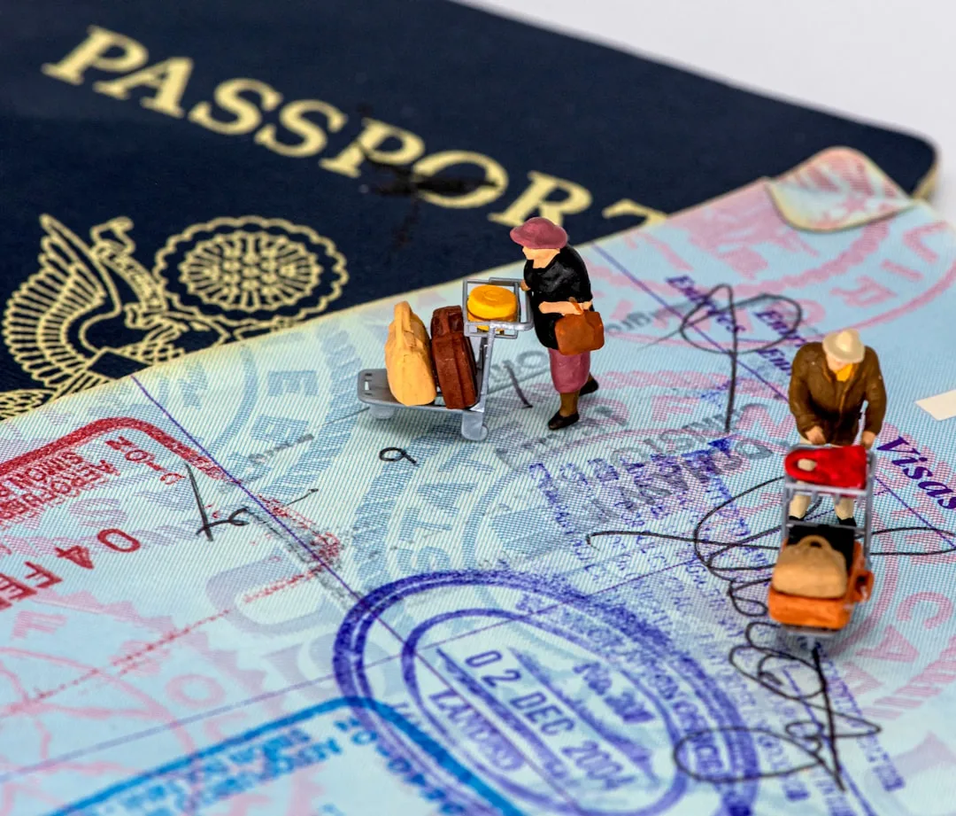Multi-destination visa pass documentation for seamless regional travel 2026 detail 4