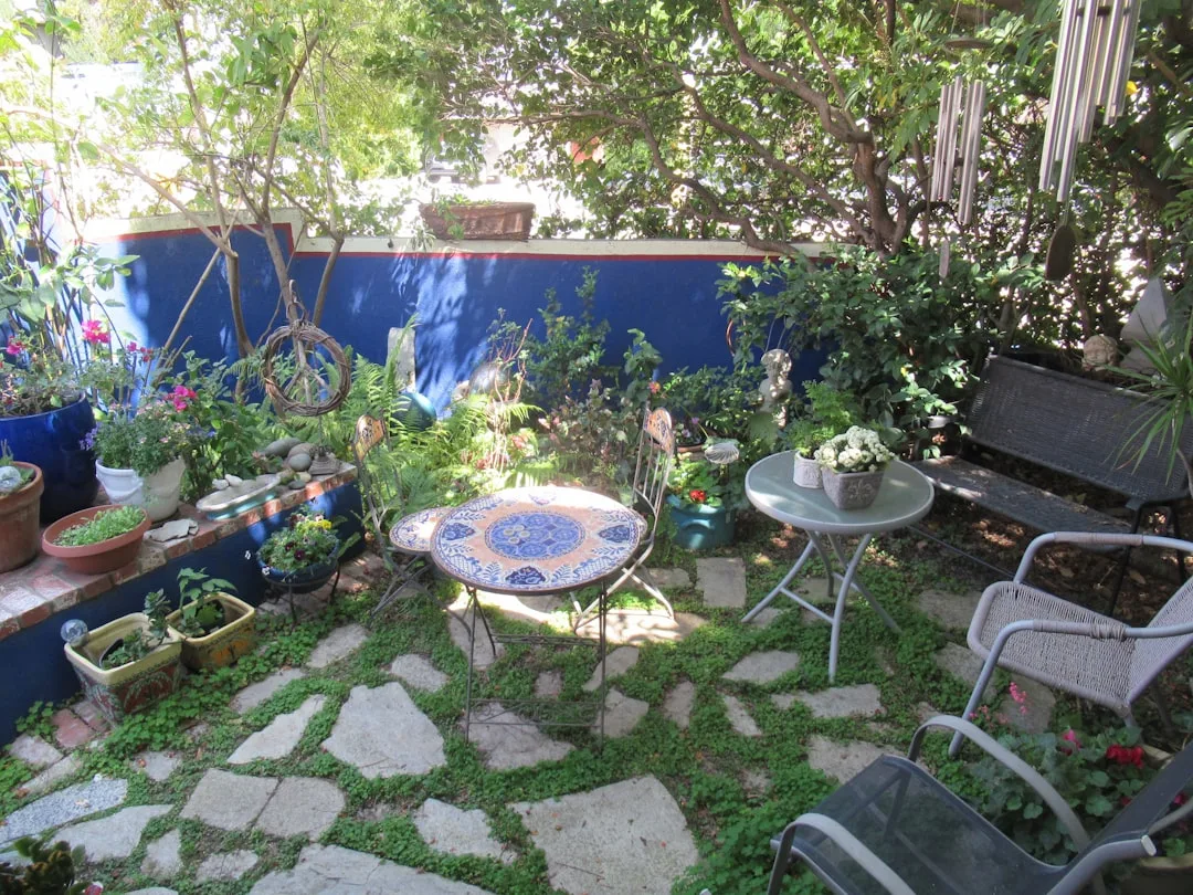 Mediterranean ground cover installation showing spacing and mulch technique