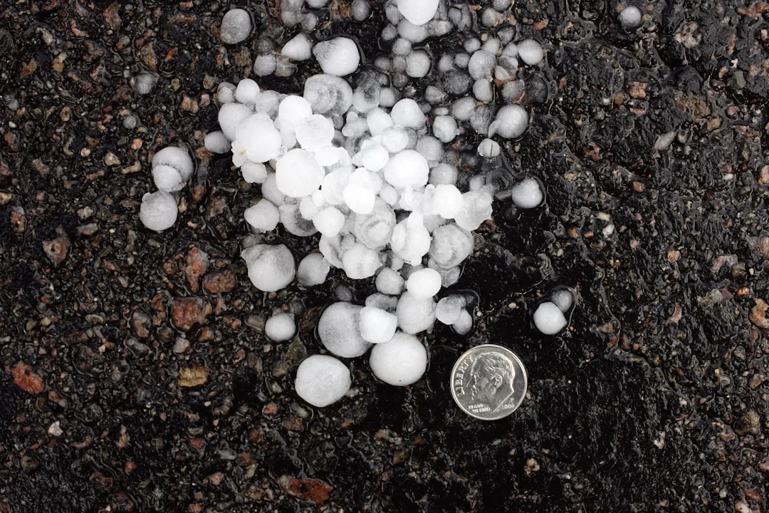Hydrogel soil crystals absorb water in garden bed soil amendment detail 4