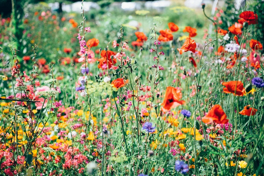 Low-Maintenance Perennial Gardens 2026 — Why Resilient Plants Reshape Residential Landscaping