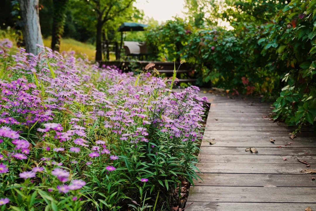 Lush native plant garden with regional wildflowers and natural stone pathways detail 3