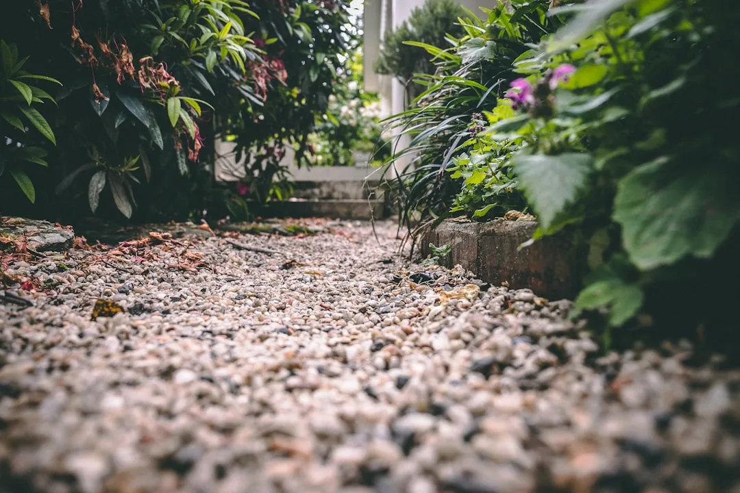 Decomposed granite gravel pathway bordered by native plants and stone edging