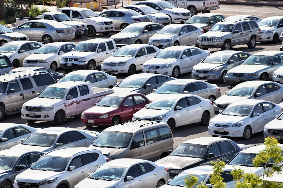 used car lot dealership inventory 2026 — perspective 1