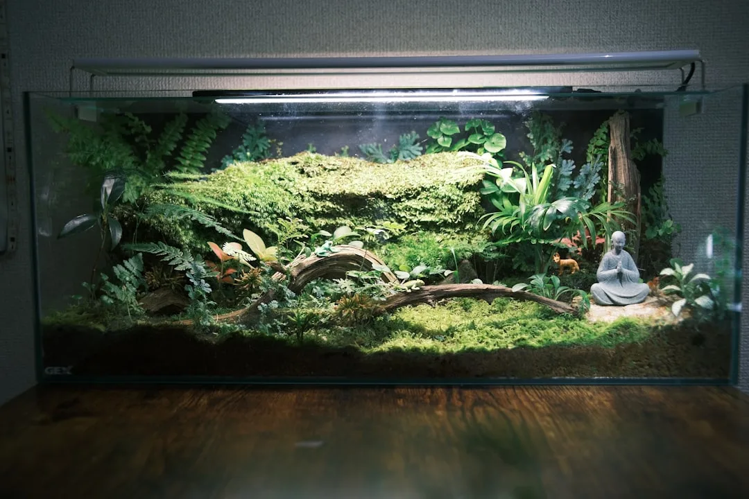 Arboreal gecko habitat featuring tiered substrate bedding with live plant integration