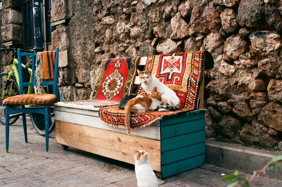 Teak deck box storing folded outdoor cushions with drain holes