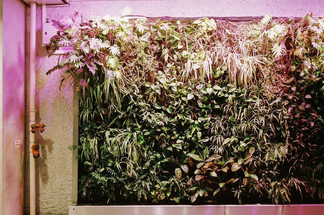 Wall-mounted pocket vertical garden system in urban courtyard