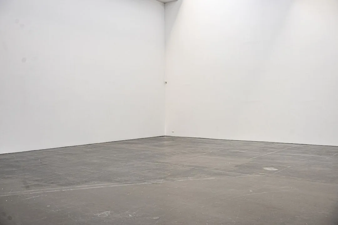 Completed basement interior showing finished walls, carpet, and recessed lighting
