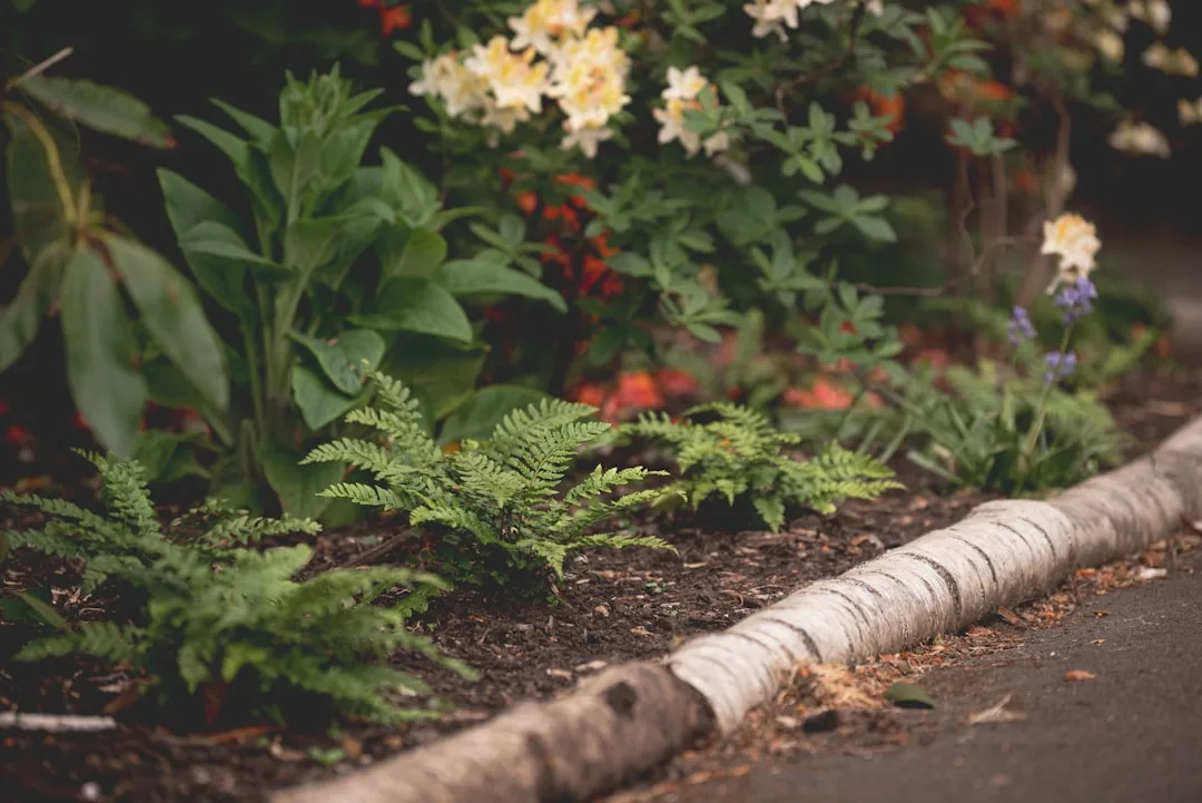 composite corner garden edging installed at landscape transitional boundary