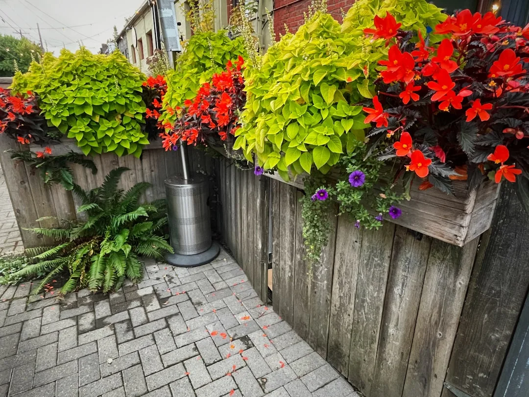 Large residential driveway made from permeable pavers with landscape beds visible