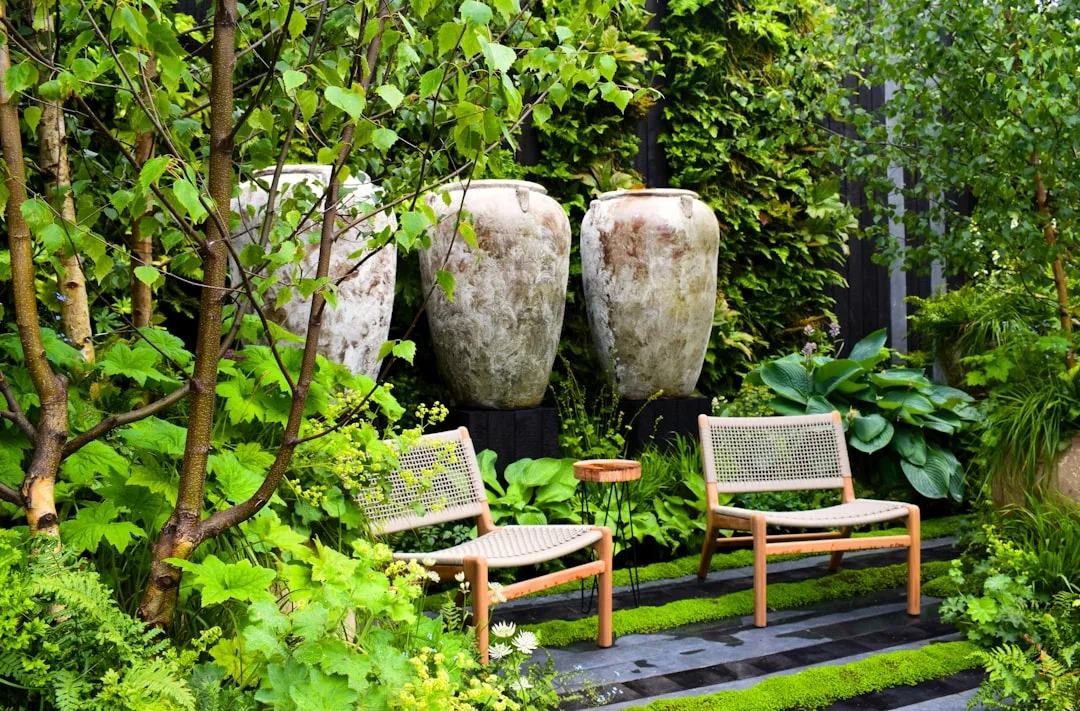 Courtyard garden design with climbing vines on wooden trellis creating dappled shade