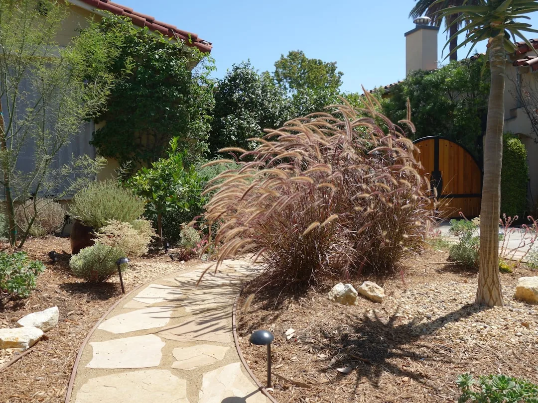 Modern drought-resistant landscape design featuring sedums, ornamental grasses and decomposed granite pathways