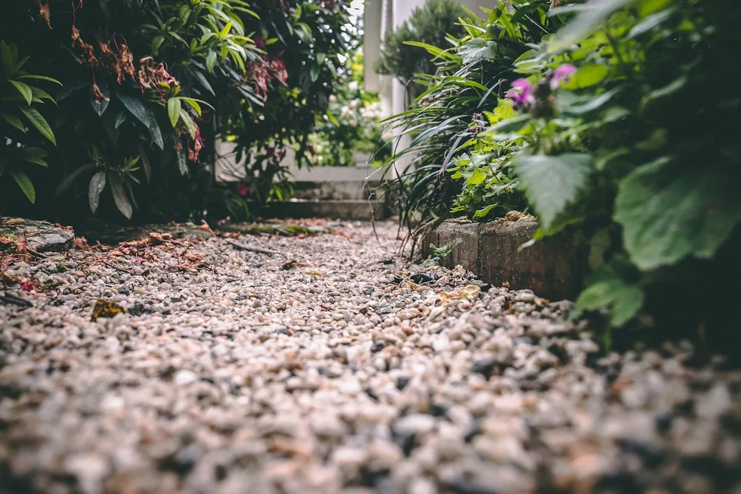 Pea gravel landscaping in modern backyard garden design with plants